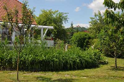 Garten mit Blick zur Wachsenburg